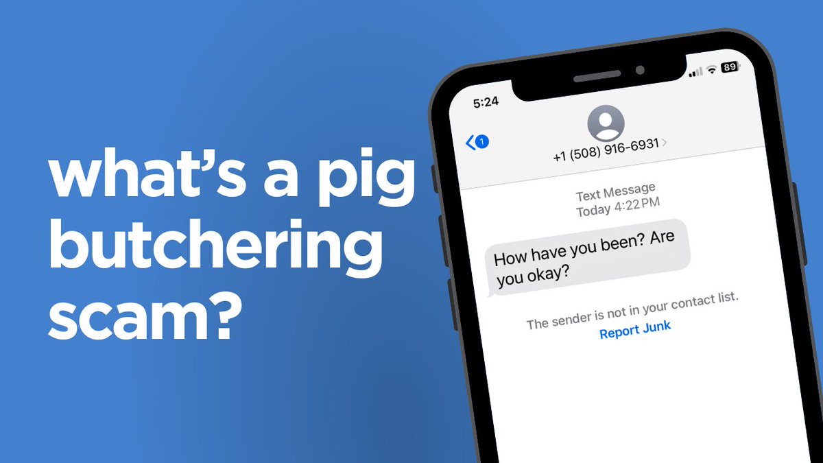 Imagine you’re at home when you get a text from an unknown number, "How have you been? Are you okay?"  Just an innocent wrong number, right? 

Maybe, but it could be the first step in a new scam gaining popularity: the Pig Butchering Scam. #CyberSafety

magnesgroup.com/blog/what-you-…