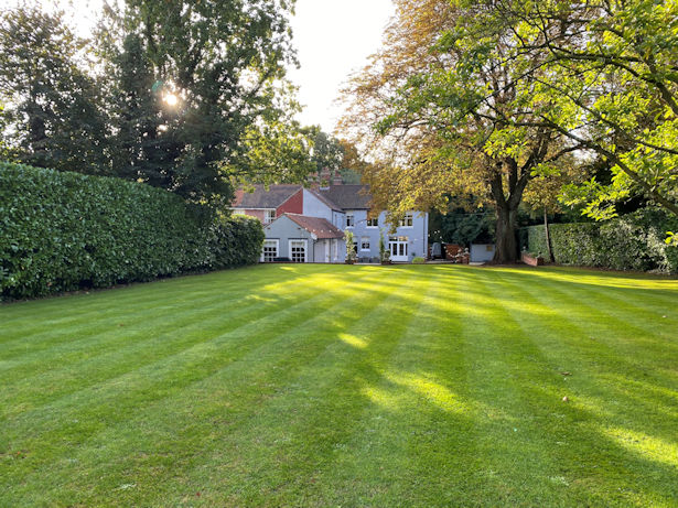 Regular grass cutting, weeding &amp; feeding keep this shade-dappled #lawn in great condition!

Learn more about our Lawn Care Services at mnhorticulture.com/gardening/lawn… 

#gardens #horticulture #maintenance #norfolk