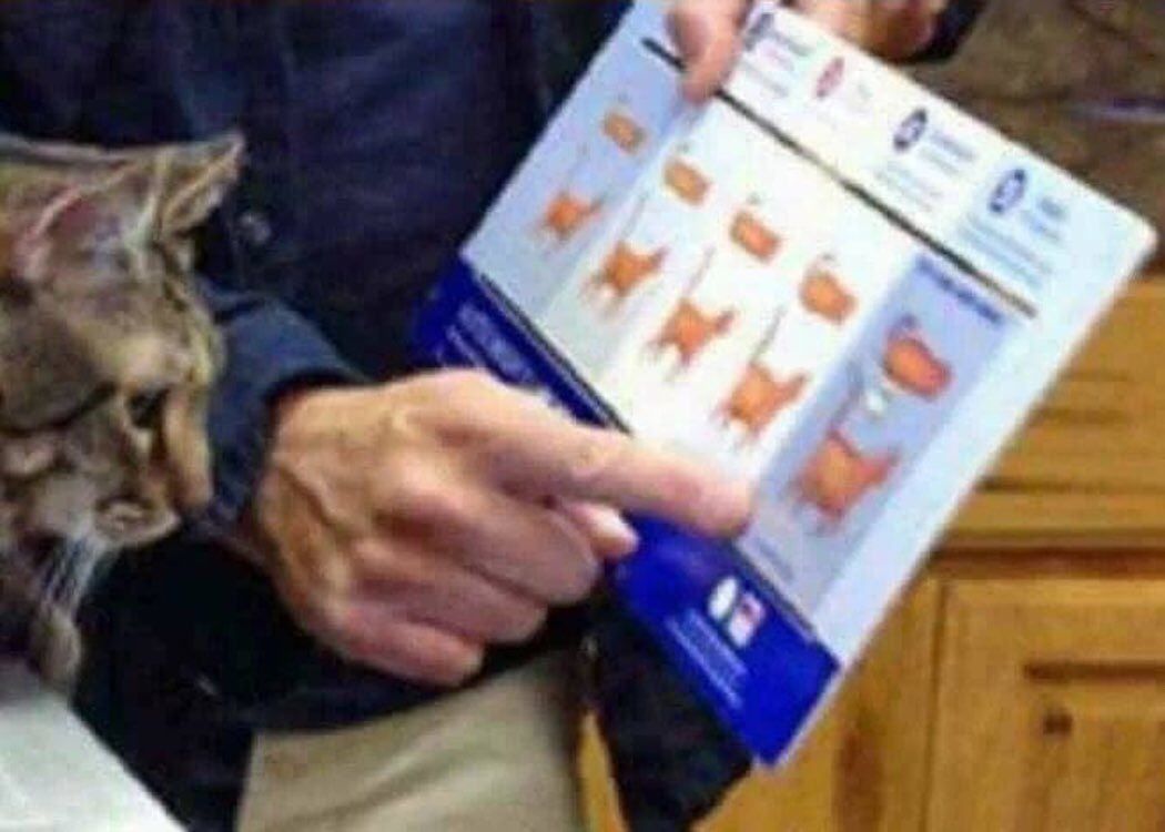 Big fan of this picture of a veterinarian showing a cat how fat he is.