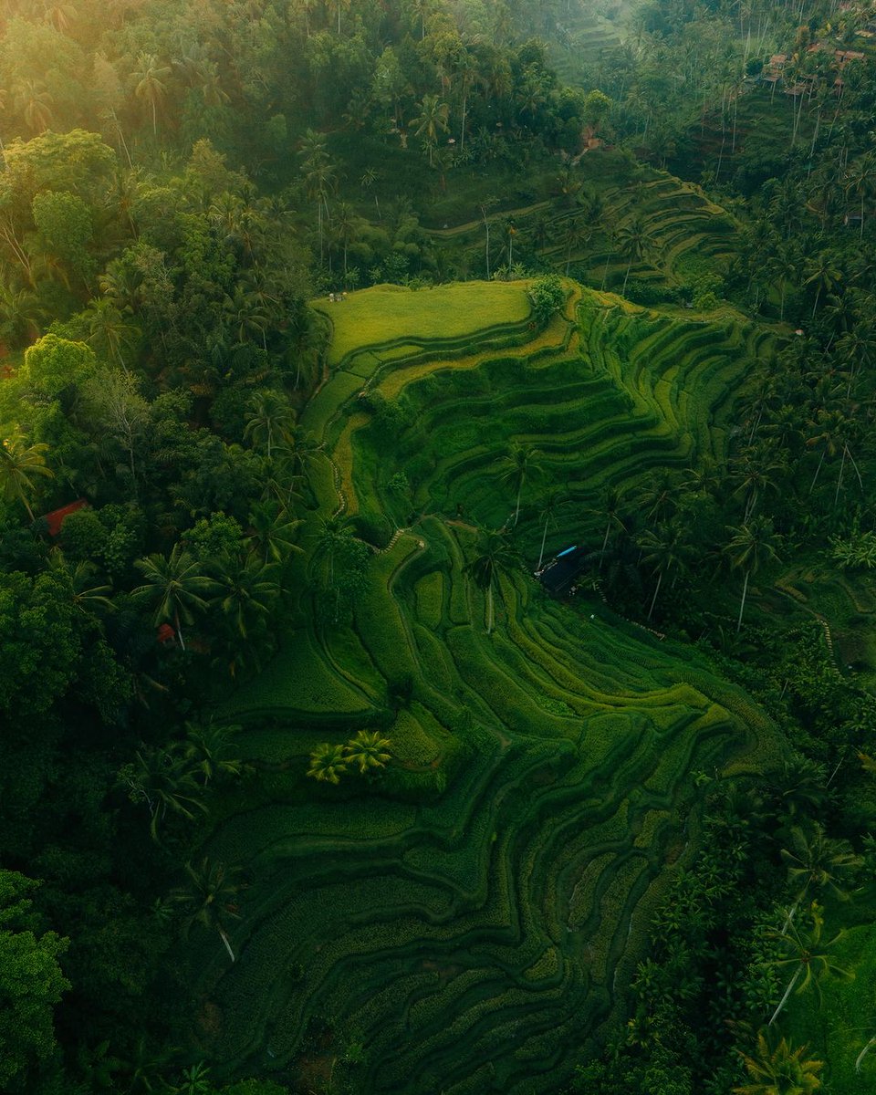Capturing the calm before the rain in beautiful Bali. DJI Mini 4 Pro with ND Filters! 📸 Captured by @hidwii #djimini4pro #ndfilter