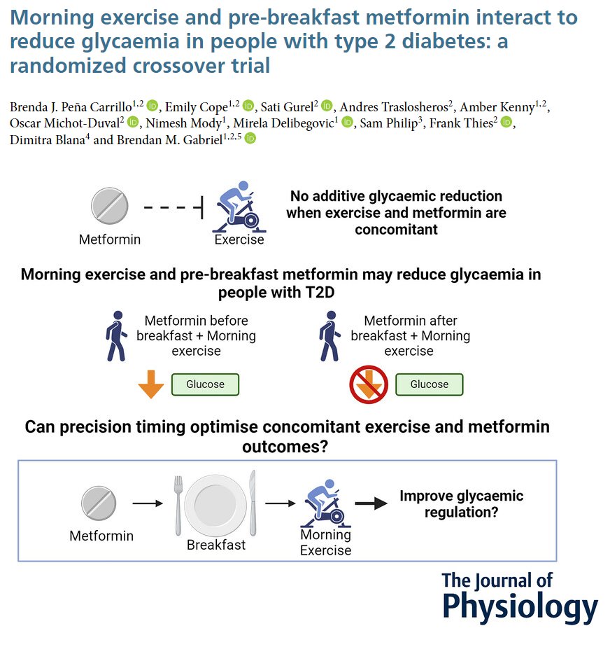 The findings of this one suggest that morning moderate intensity exercise combined with pre-breakfast metformin intake may benefit the management of glycaemia in people with type 2 diabetes.