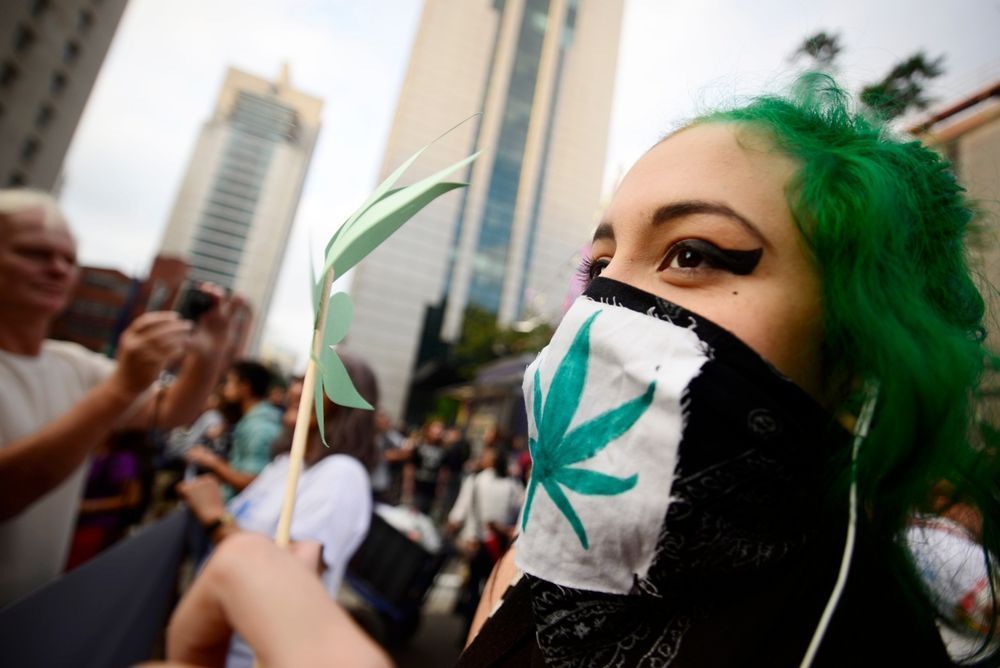 🇧🇷: Supreme Court and Congress in tug-of-war over #cannabis decriminalization in Brazil. brazilian.report/power/2024/03/…