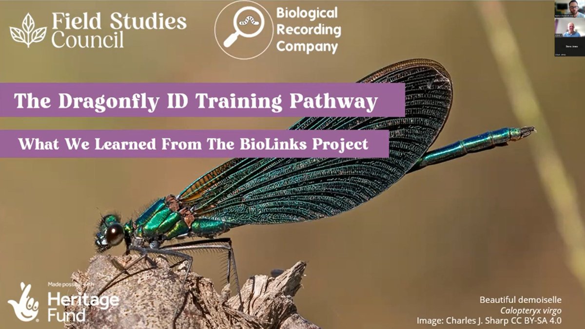 From the BDS Spring Meeting playlist: The Dragonfly ID Training Pathway: What We Learned From The BioLinks Project by Keiron Brown at the Biological Recording Company. loom.ly/cAfyQc8