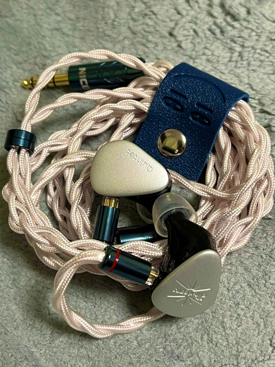 昨年買った自宅据え置き用イヤホンKiwi earsの「quintet」をNicehck