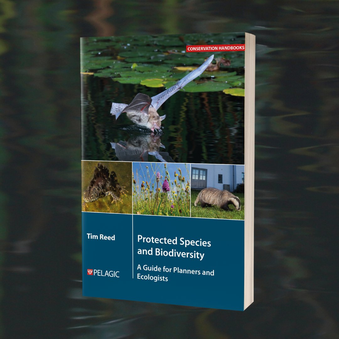 Coming soon! Protected Species and Biodiversity by Tim Reed is the latest addition to our Conservation Handbooks series 📚 📖 Learn more and preorder your copy ➡️ loom.ly/GuQa-X0 #protectedspecies #biodivesity #survey #planning #ecologicalsurvey #conservationhandbooks