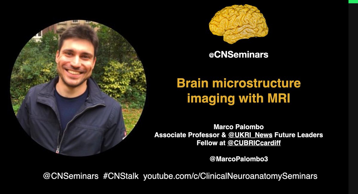 CNSeminars – Clinical Neuroanatomy Seminars (@cnseminars) on Twitter photo Join us tomorrow at 4 PM Amsterdam time for a fascinating seminar on #Brain #Microstructure Imaging with #MRI, presented by <a href="/MarcoPalombo3/">MarcoPalombo</a>! Dive into the complexities of the brain and discover cutting-edge MRI techniques. Don't miss out! 🧠
Live Stream: youtube.com/c/ClinicalNeur… Join us tomorrow at 4 PM Amsterdam time for a fascinating seminar on #Brain #Microstructure Imaging with #MRI, presented by <a href="/MarcoPalombo3/">MarcoPalombo</a>! Dive into the complexities of the brain and discover cutting-edge MRI techniques. Don't miss out! 🧠
Live Stream: youtube.com/c/ClinicalNeur…