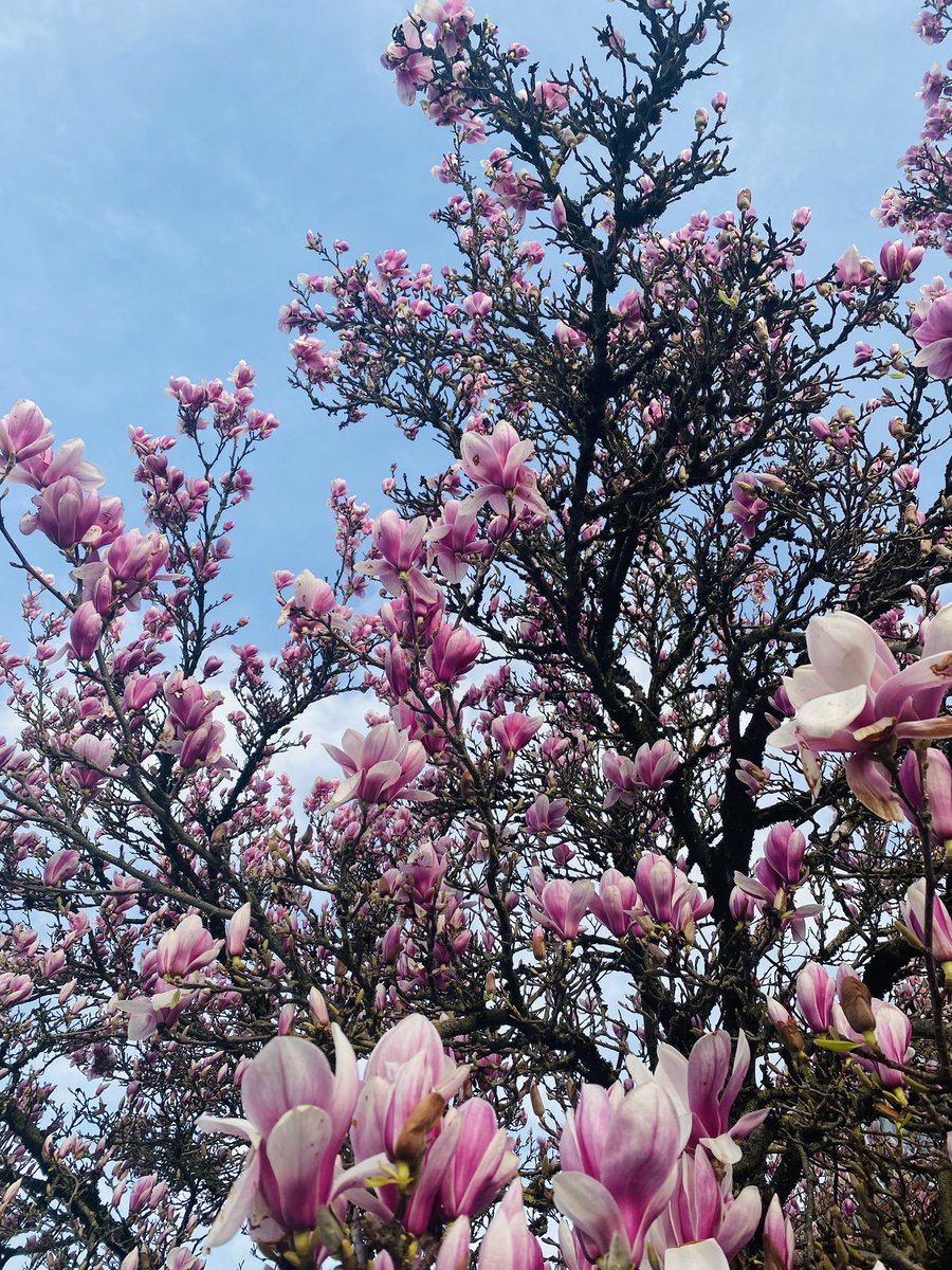 Me2308 💫 tweet media