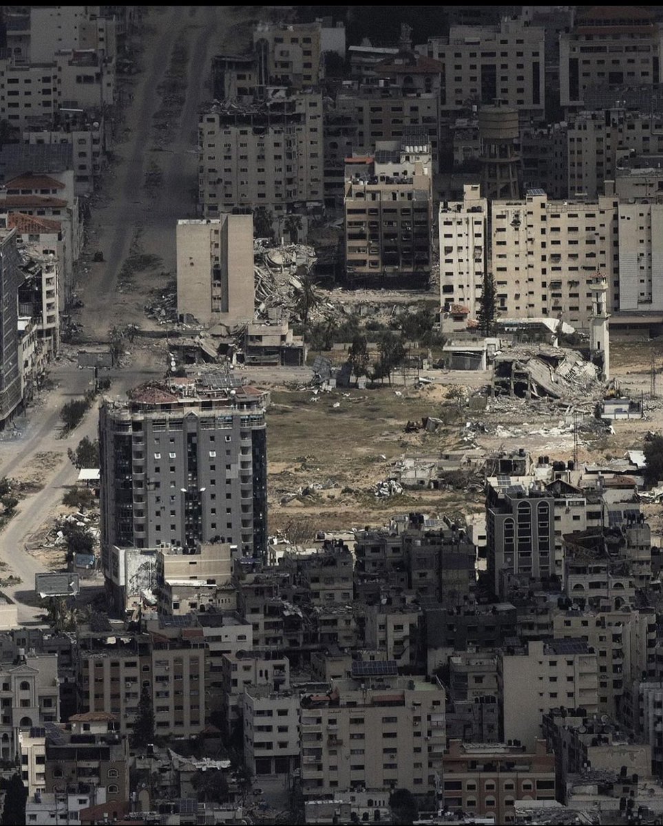 Eye on Palestine tweet media