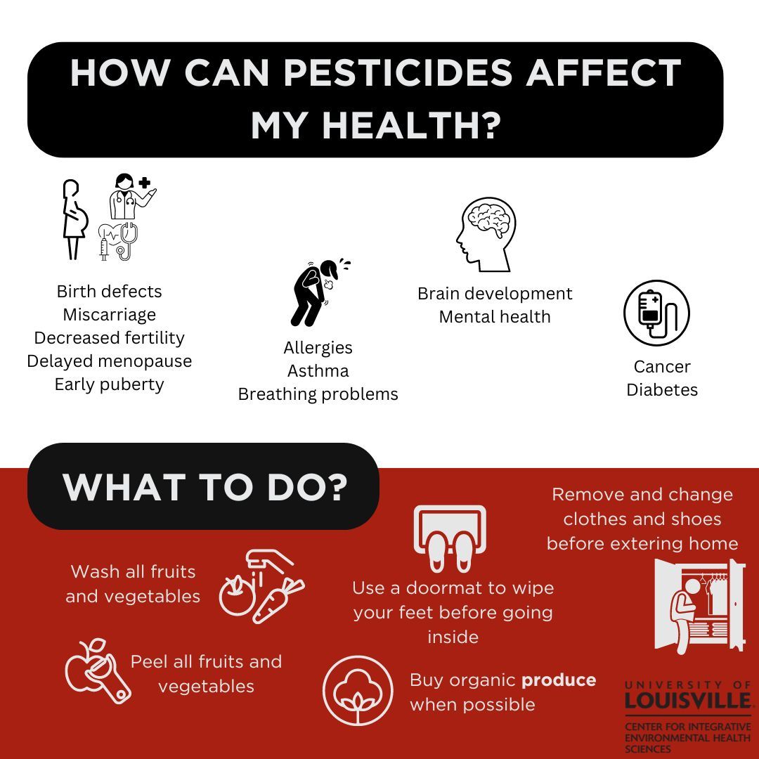 The CIEHS Community Engagement Core is Unveiling the Environmental Health Impacts of Pesticides 🌽
Learn more from the infographics below ⬇️
#NIEHS_EHSCC