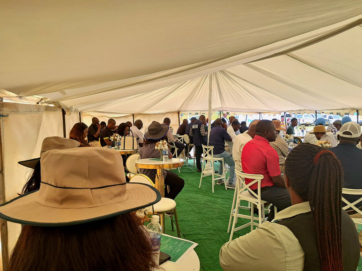 timb_zw's tweet photo. The tobacco industry today explored a new gas bulky curer, which supports sustainability goals with 50% reduced carbon emissions and low labor requirements. This coincides with Zimbabwe's gas discovery in Muzarabani.

#forlovelihoods #forsustainability https://t.co/dCgXxDRaTK
