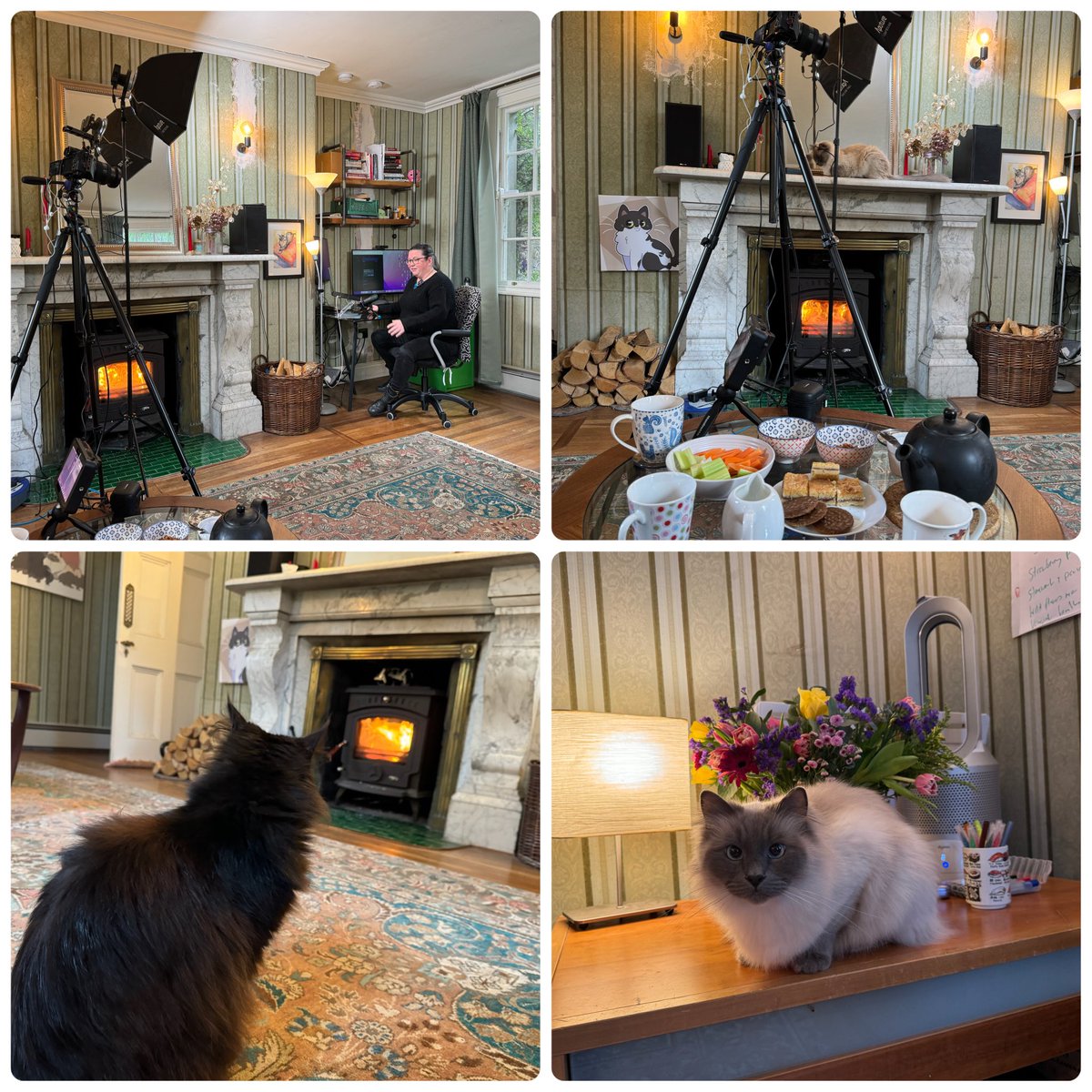 Huge thanks to @lauralifts who is hosting us with tea & snacks at her beautiful house in Kildare as well as speaking rn at @CodingGrace's #CupánTaeConf talk.

Two of her cats are very welcoming & soooo cute!

#TechTalks #Community #CupánTae