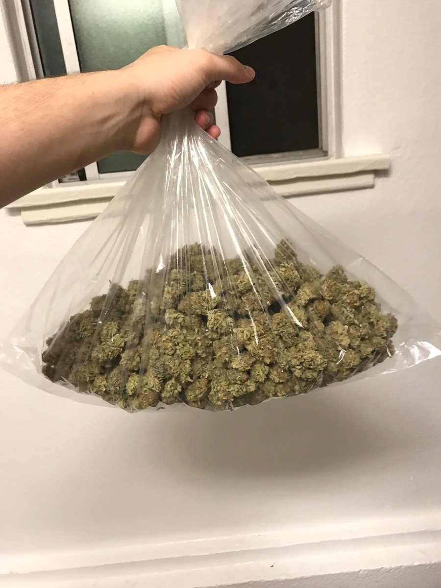 HerbApproach's tweet image. Can you guess the weight? 🤔