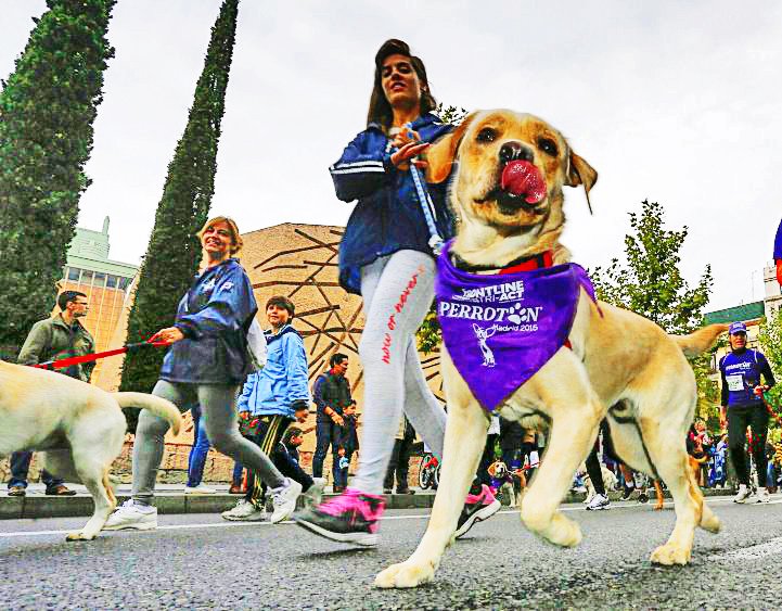 Deporticket tweet media