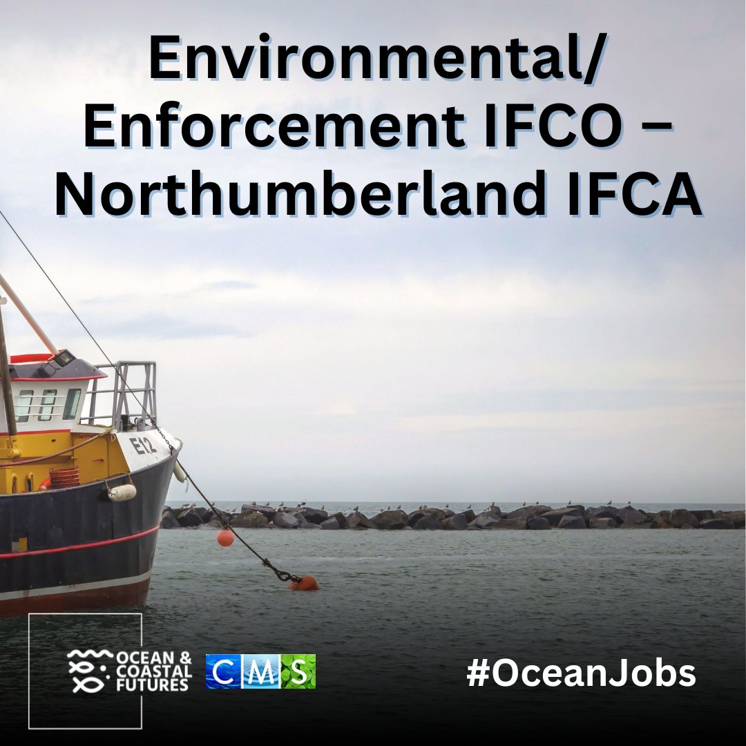 🔔#job opportunity: Environmental/Enforcement IFCO – @N_IFCA ▪️ Location: Blyth, Northumberland ▪️ Closing: 14 April ▪️ Salary: £27k - £36k ▪️ Full details here 👉 cmscoms.com/?p=38544 📩Sign up for #OceanJobs alerts here 👉 bit.ly/3MiyV7i #vacancy #hiring
