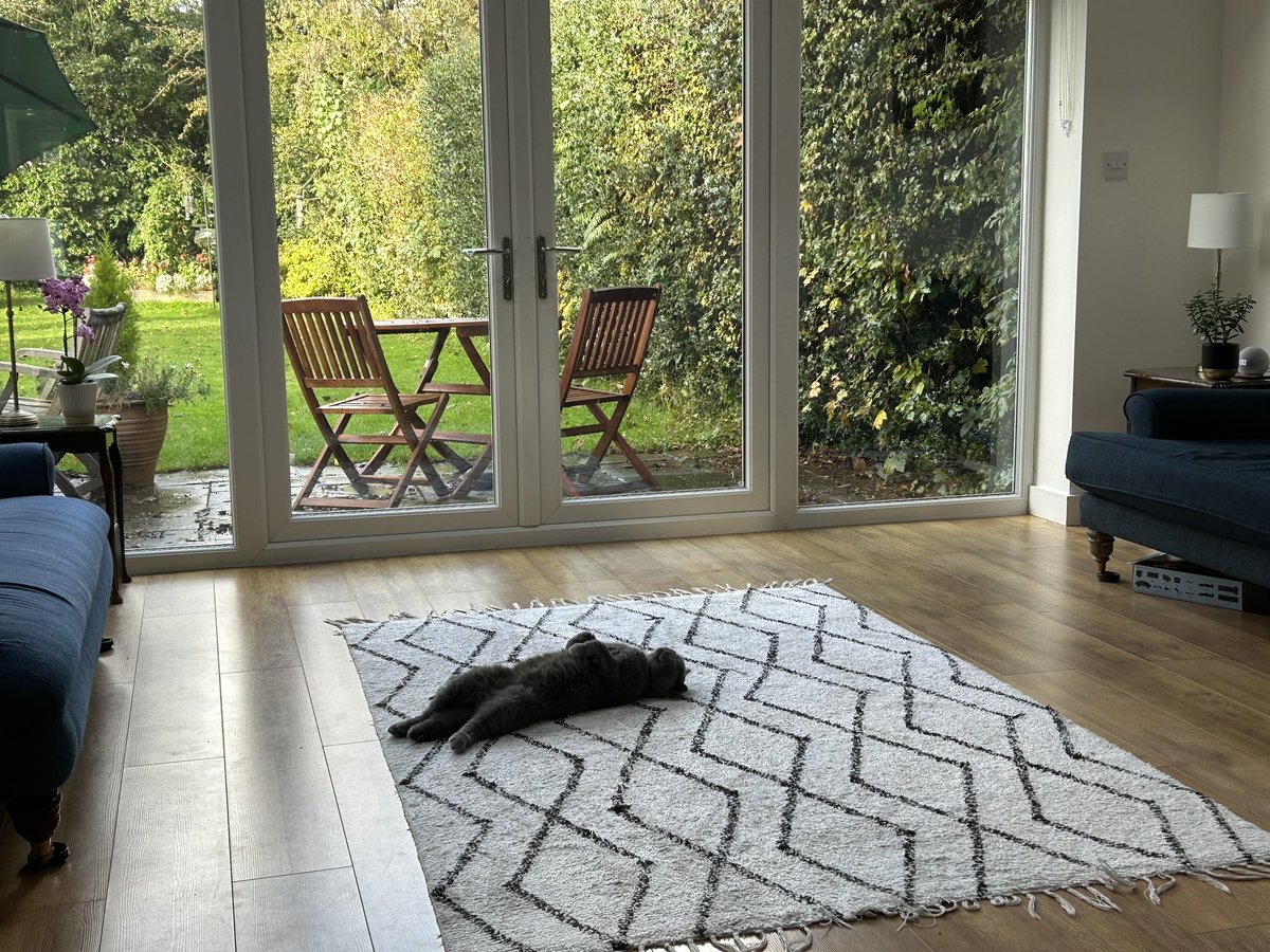 jamespowerfybb's tweet photo. My cat has been showing me how to do active rest. #alexandertechnique #knutsford #backpain @findyourback https://t.co/76uPNr3b9m