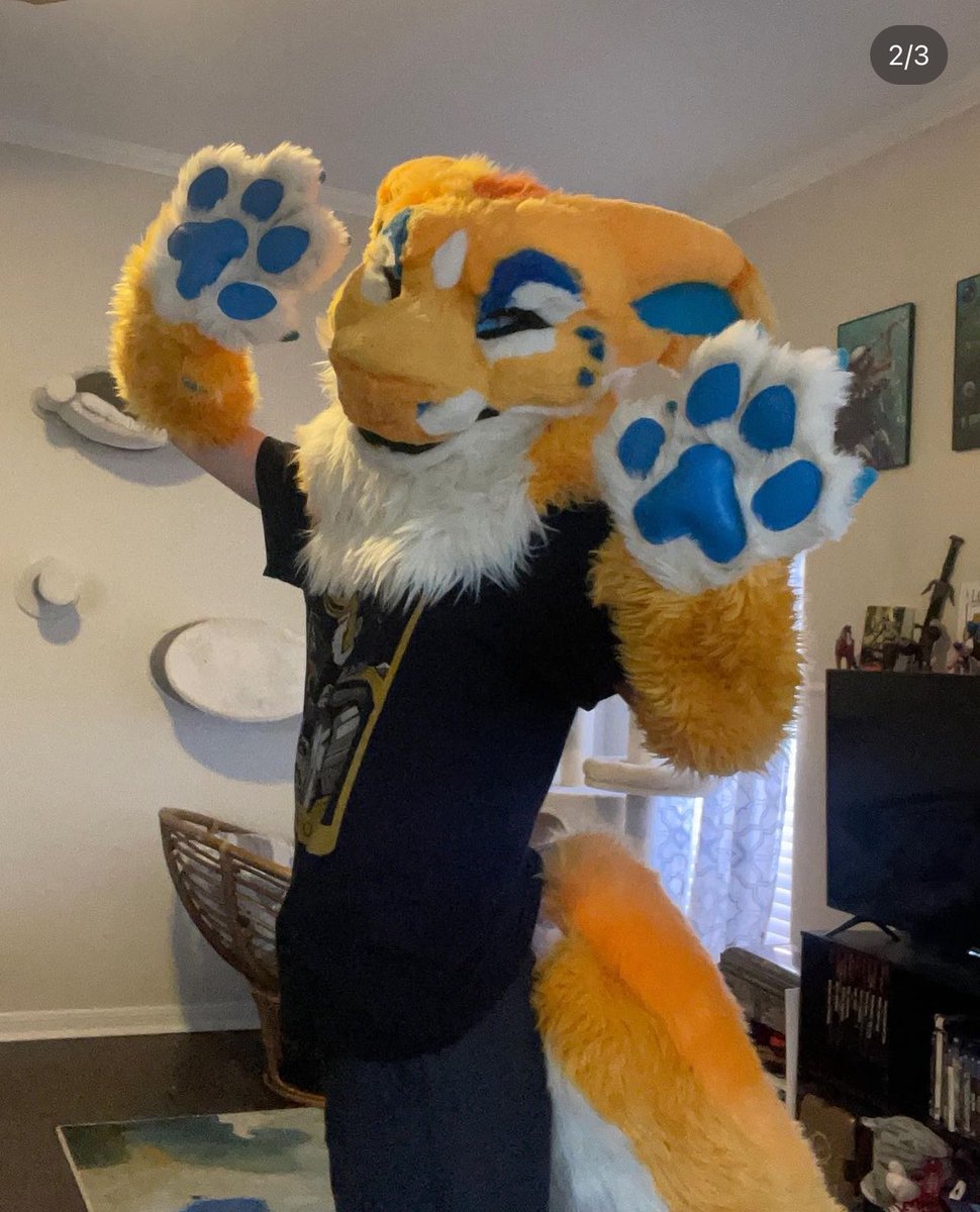 Emotional Support Saber 🐯 tweet media