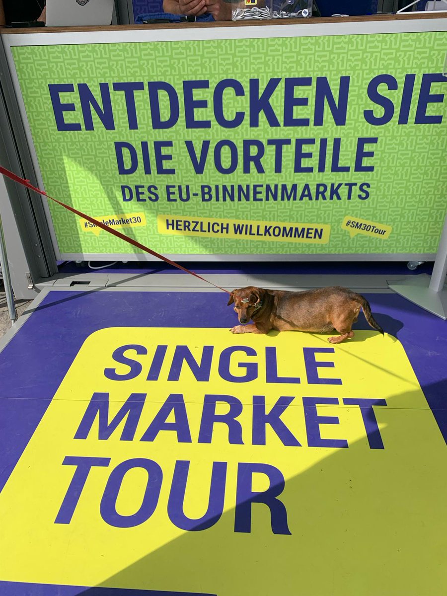 EU_Growth's tweet photo. A big thanks to everyone who dropped by our #SM30Tour in Salzburg 🇦🇹
We were delighted to welcome fans of the EU #PetPassport 🐕 in the birthplace of Mozart!
Learn about what the #SingleMarket does for you 👇
https://t.co/DClQThtufk
#SingleMarket30 https://t.co/f6LHqalKog