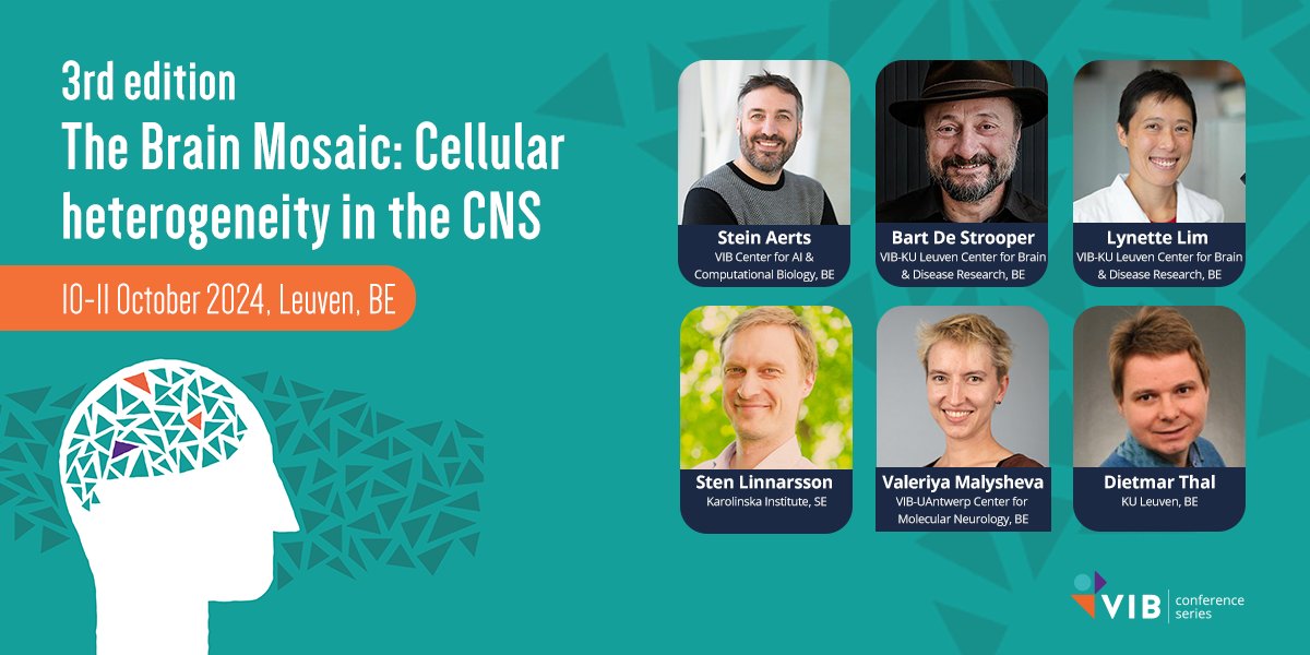 Are you curious to know who put together the packed program of #BrainMosaic24? These OC members are excited to welcome you all to the conference in October! More info here 👉 vibbio.tech/4cGSVy2 @steinaerts @slinnarsson @MalyValerie @VibLimlab @KU_Leuven @BrtDeStrooper