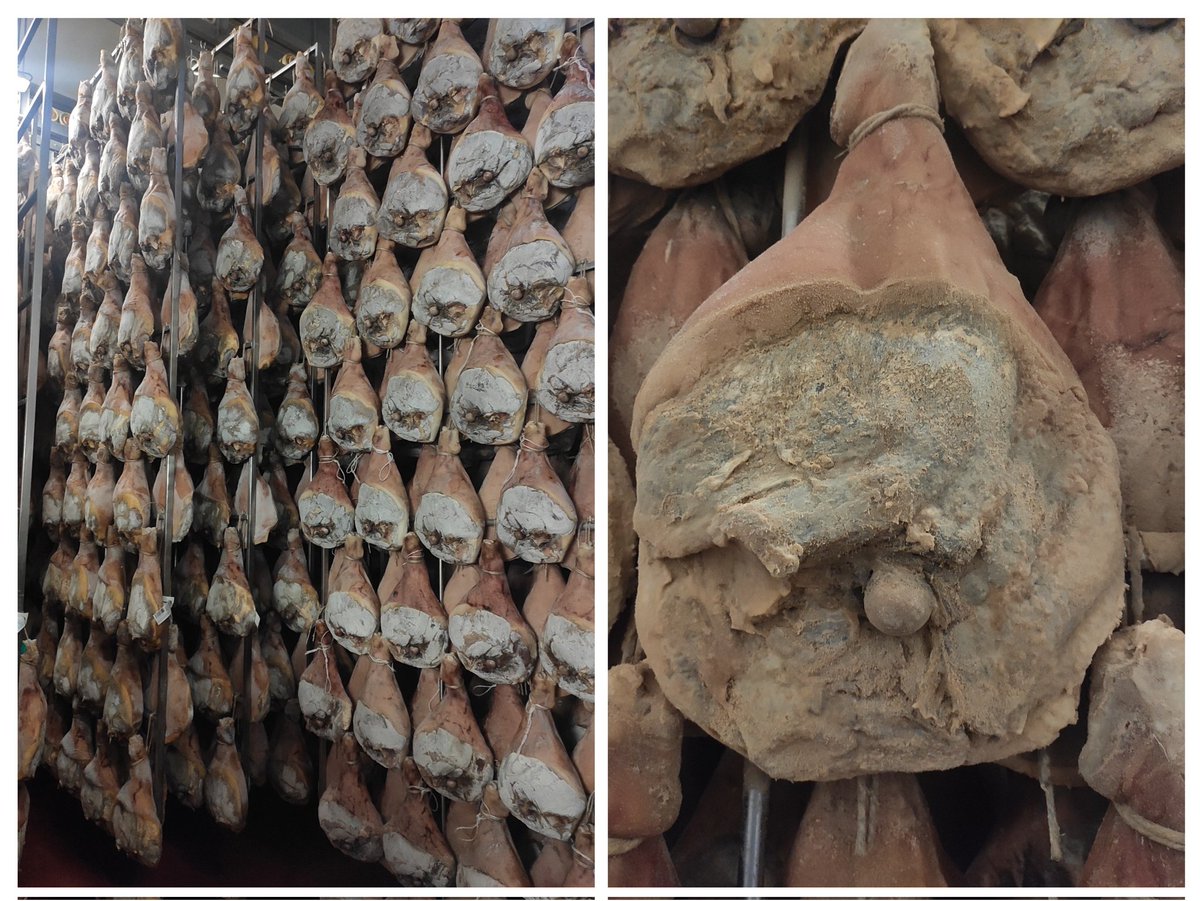 Quelle fierté de découvrir entre éleveurs adhérents coopérateurs une #cathedrale de #jambons secs. 
#albi #VPF
Rendez vous dans  quelques mois... Dans nos assiettes 😉