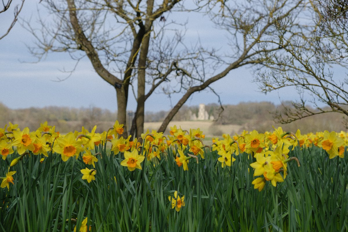 East_England_NT tweet picture