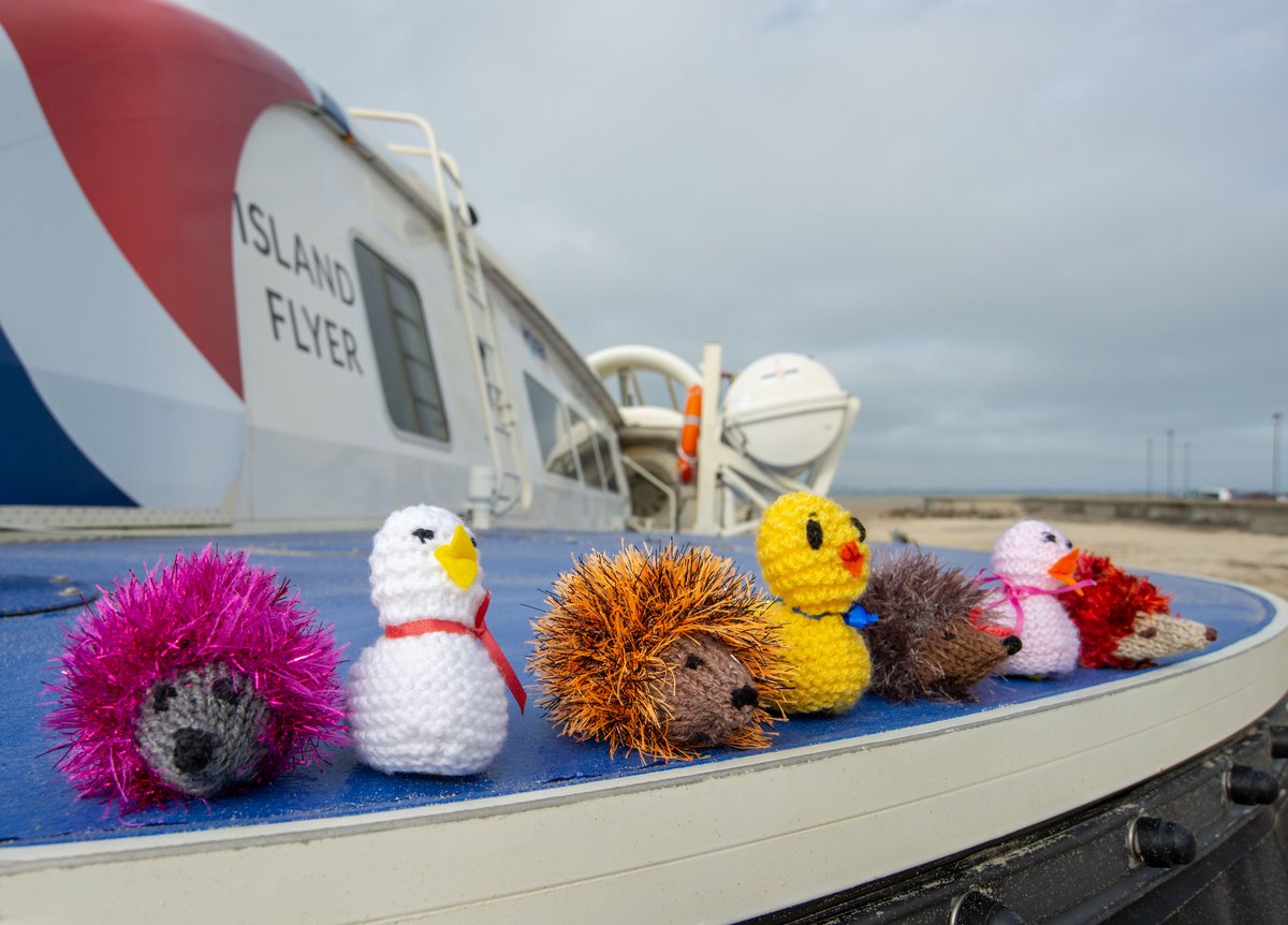 We are selling wild hedgehogs and colourful chicks covers with a crème egg, crocheted by blind and partially sighted members and volunteers from Sight for Wight @iwsftb. Available now in both our terminals with all funds going to the charity.