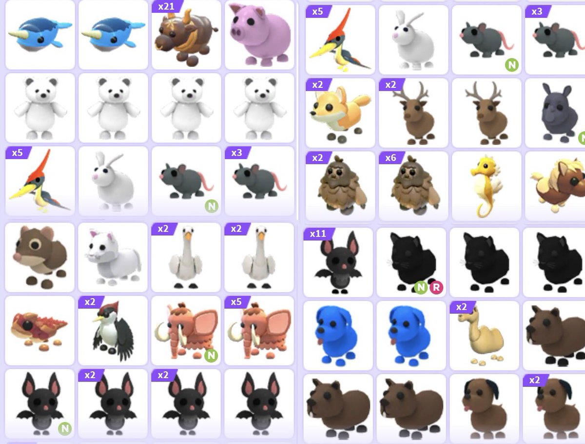 aedriiv's tweet photo. Trading and selling this pets for paypal
#Adoptmetrade #Adoptmetrades #adoptmetrading #adoptmetradings
*we can use mm/mw
Kw: parrot turtle albino monkey nfr swan llama https://t.co/ND17KfCmab