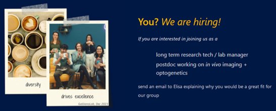It turns out that grant applications sometimes are successfull, allowing one* to update the lab's website with some good news 😉
gallianolab.org
[* one is me!]
📢WE ARE HIRING🎉
Anyone interested in joining this friendly and always properly caffeinated bunch?"⤵️