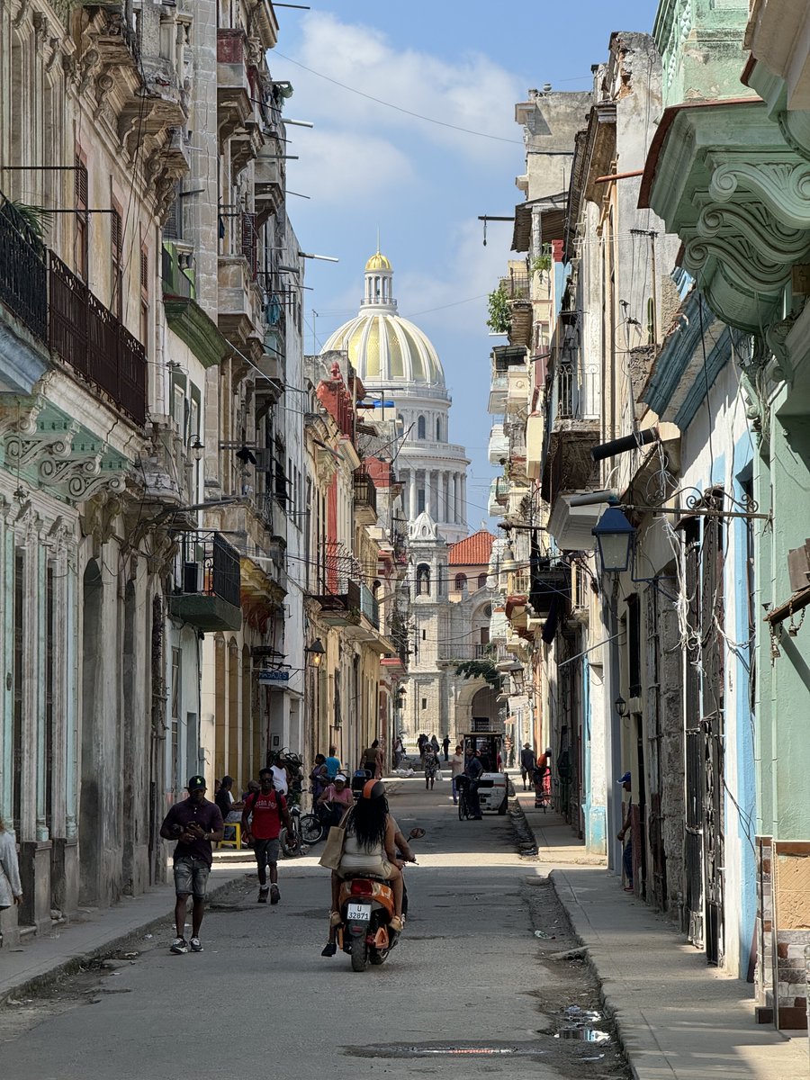 Robert Carroll tweet media