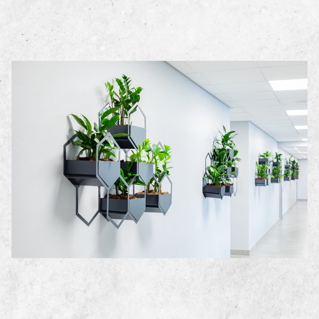 Execuflora tweet media