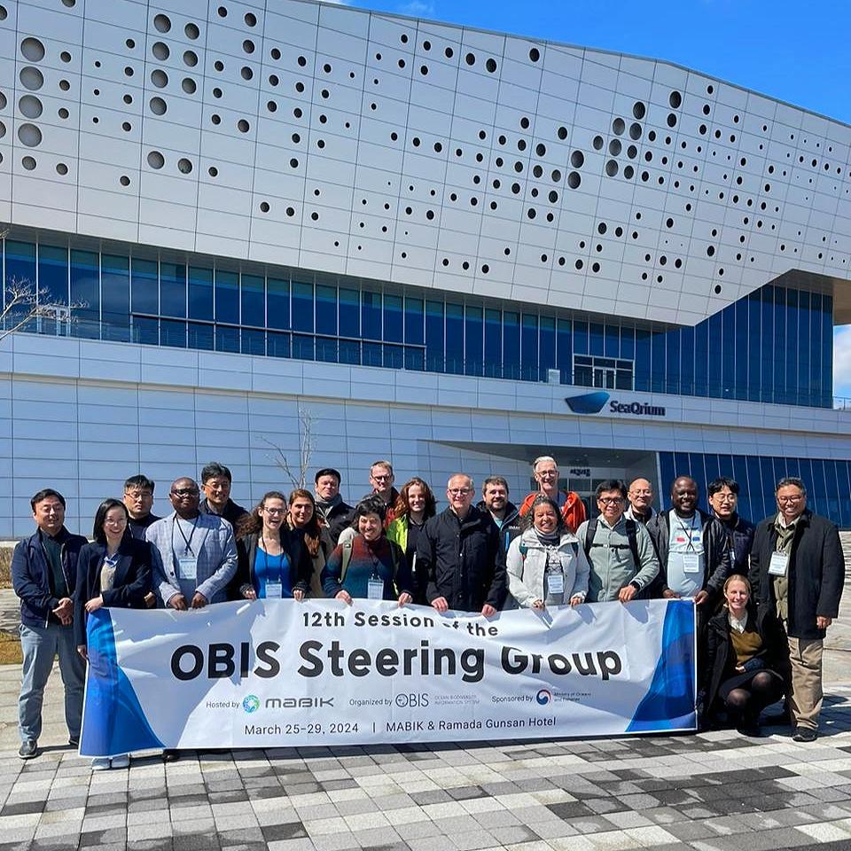 12th session of the OBIS steering group is happening this week at MABIK in South Korea. After the hands-on sessions we will move into formals tomorrow. #sgobis12 #marinebiodiversity #fairdata