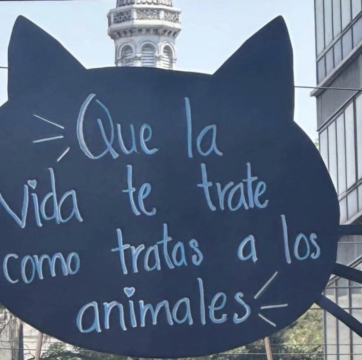 Bebi Fernández (@bebi_fernandez) on Twitter photo 