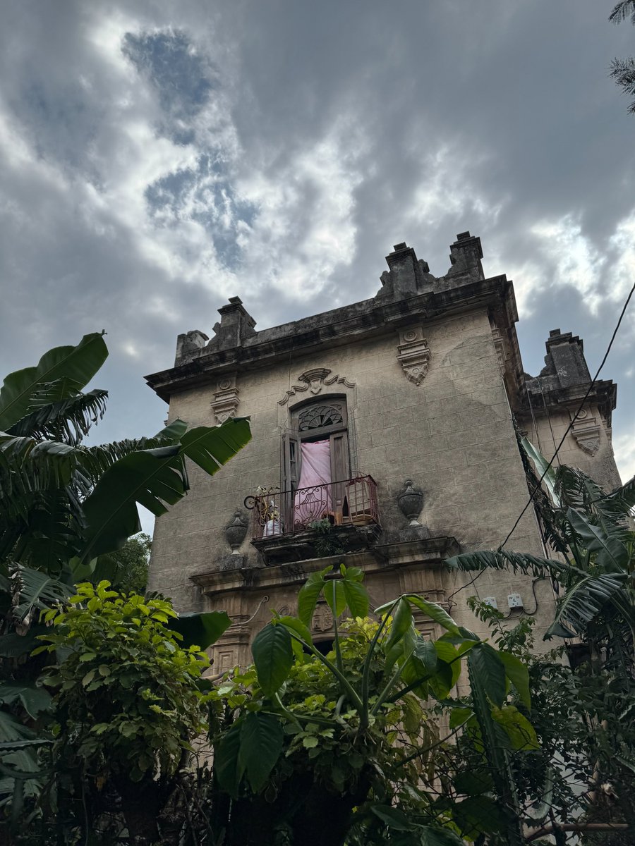 Robert Carroll tweet media