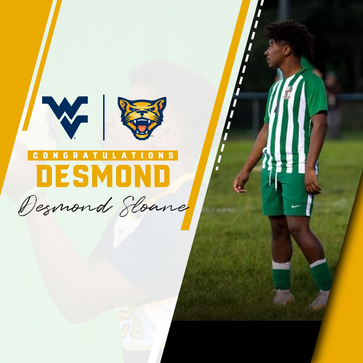 Potomac State Athletics tweet media