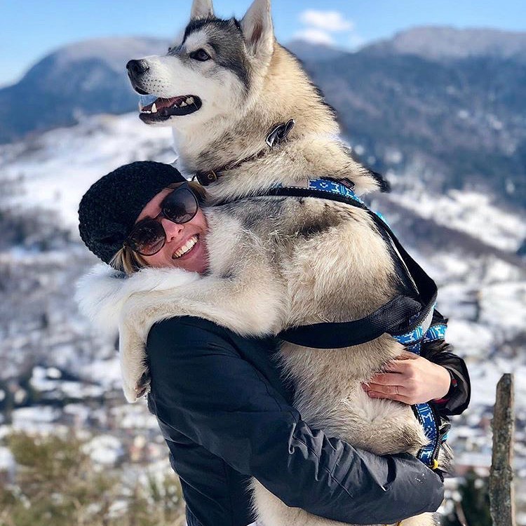 huskylovers_hub's tweet photo. great photography 🇱🇷
#huskylife #huskylove #husky #huskytwitter #FrancisScott #PrayingforBaltimore #Entrepreneurship #tuesdayvibe #Diddy https://t.co/eUZLdvkCd9
