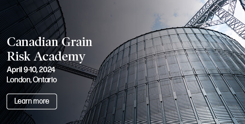 Bailey Elchinger tweet media