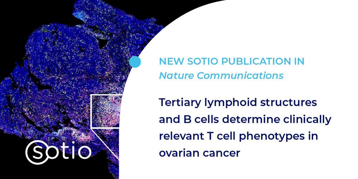 Our recent study in @NatureComms provides a deeper understanding of the impact of #tertiarylymphoidstructures (TLSs) on intratumoral T cells. The relative lack of TLSs in #ovariancancer might explain the poor response rate to immune-checkpoint inhibitors to date as compared to…