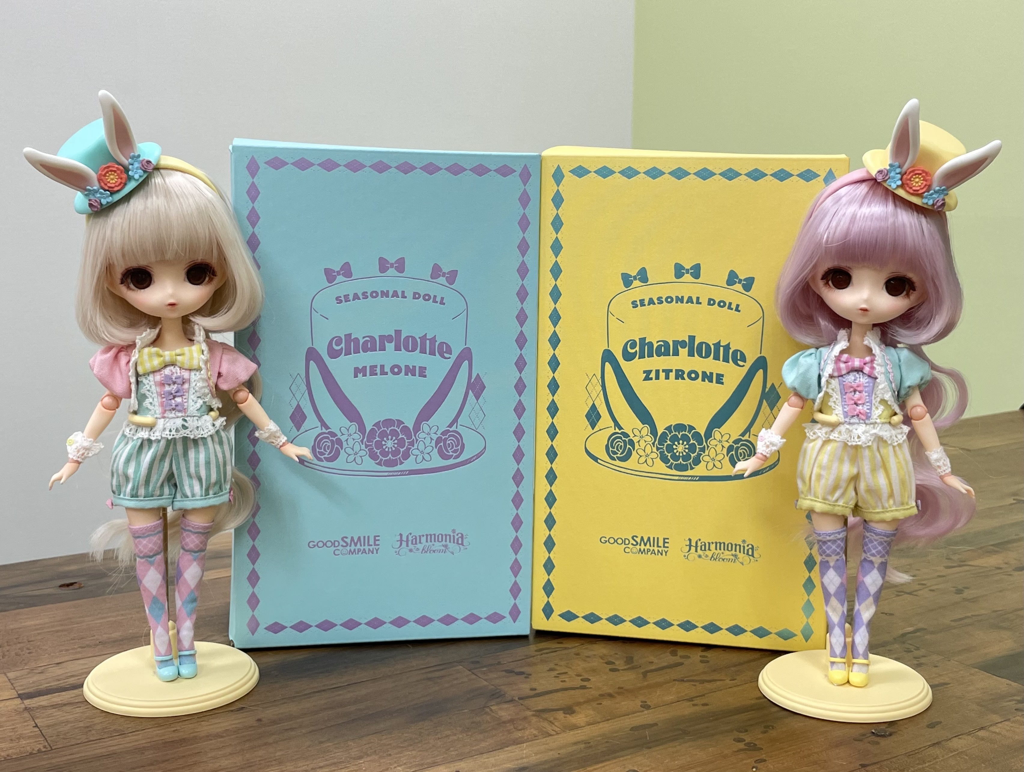 ハルモニアブルーム　シャーロット Harmonia bloom ハルモニアブルーム Harmonia bloom Charlotte