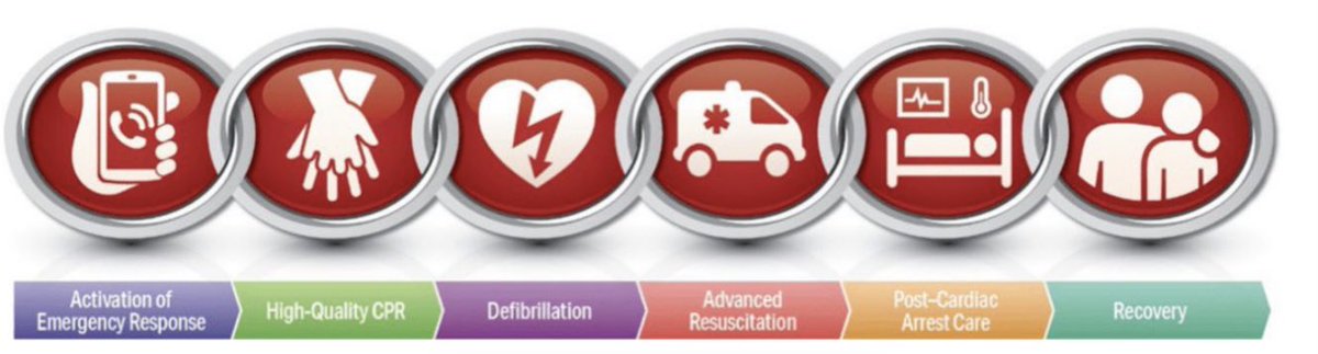 Rehabilitation is a crucial step in the chain of survival after cardiac arrest Screen cognitive and emotional problems and refer to specialized care @AfterRosc