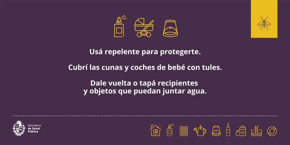 Josenunes1960's tweet photo. Es necesario adoptar acciones que aseguren la disponibilidad de repelentes a un precio razonable, impidiendo el lucro extraordinario a costa del cuidado de la salud de la población.
El gobierno recomienda su uso pero su precio elevado se vuelve inaccesible para muchos hogares.
El pasado miércoles 20 de abril la Ministra de Salud Pública informó que el gobierno estaba considerando el tema pero aún no hay novedades.
Con la información disponible en internet de cadenas de farmacias, el mismo producto sale en doble en nuestro país que en la República Argentina (utilizando el dólar oficial).