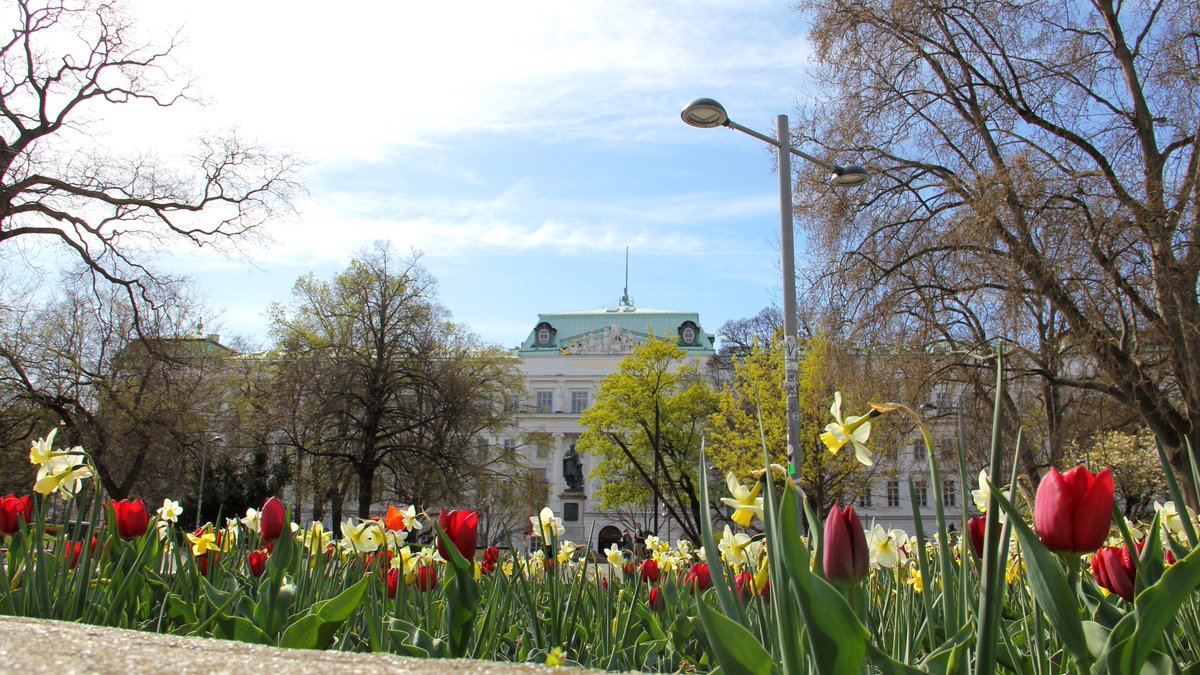 Der Winter geht, der Sommer naht. Und dazwischen ein paar Frühlingsgrüße von der TU Wien. 💙 #frühling #karlsplatz