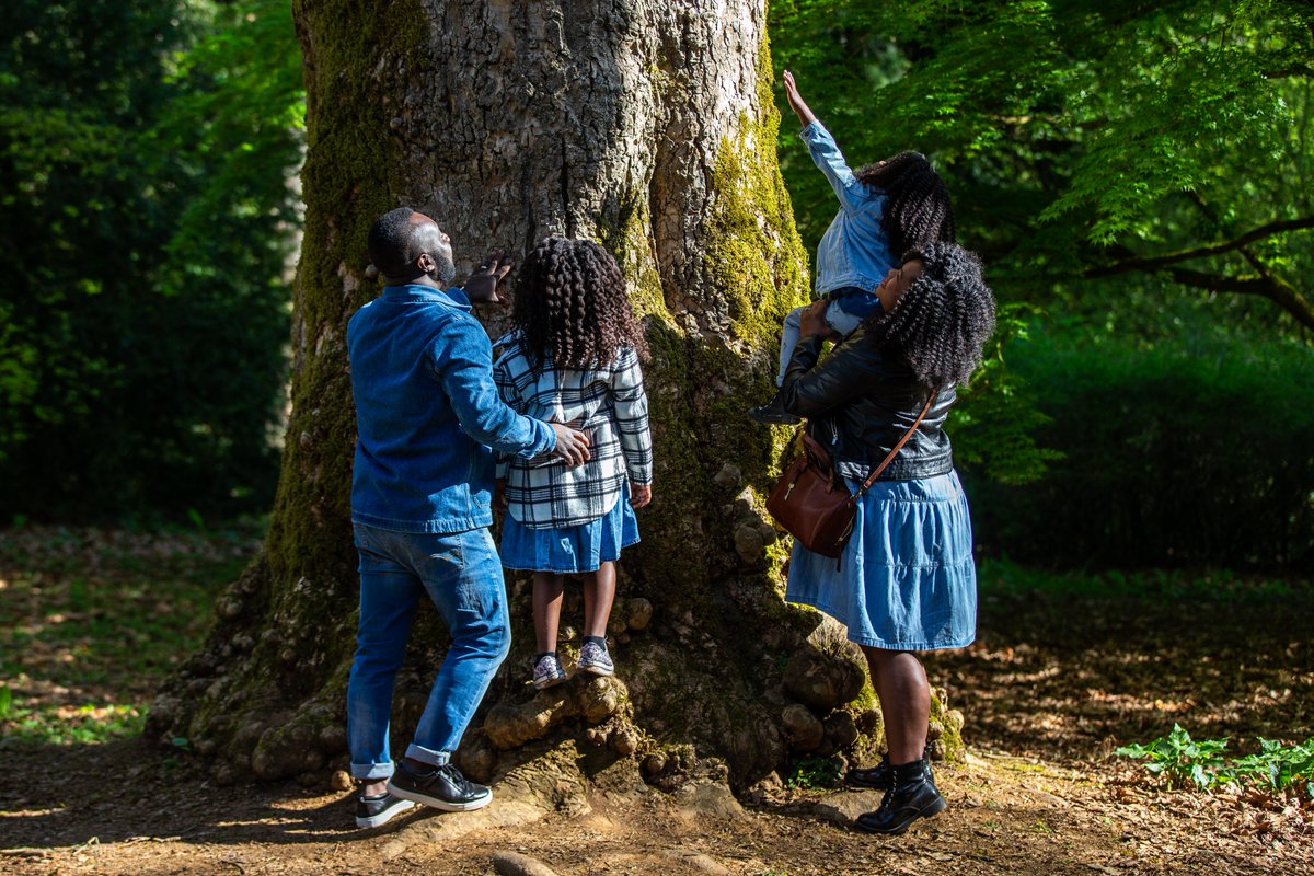 Looking for things to do with the family this #Easter? Head our way for arts and craft activities celebrating the range of wildlife found at Westonbirt. 🐞 No place like home: Tue 2 - Fri 5 Apr 🐣 New life: Tue 9 - Thu 11 Apr 👉forestryengland.uk/westonbirt/eve… #spring #wildlife