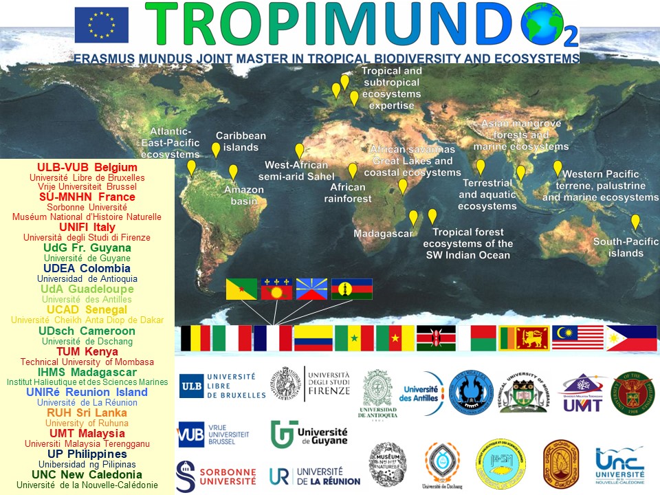 📢WE ARE HIRING a full-time secretary staff member to help our @TROPIMUNDO Coordination Office. Do you have a Bachelor Degree (not Master) and are you interested in a diversity of education & research administrative tasks involving the tropics, then apply: efficy.ulb.ac.be/public/guest?a…
