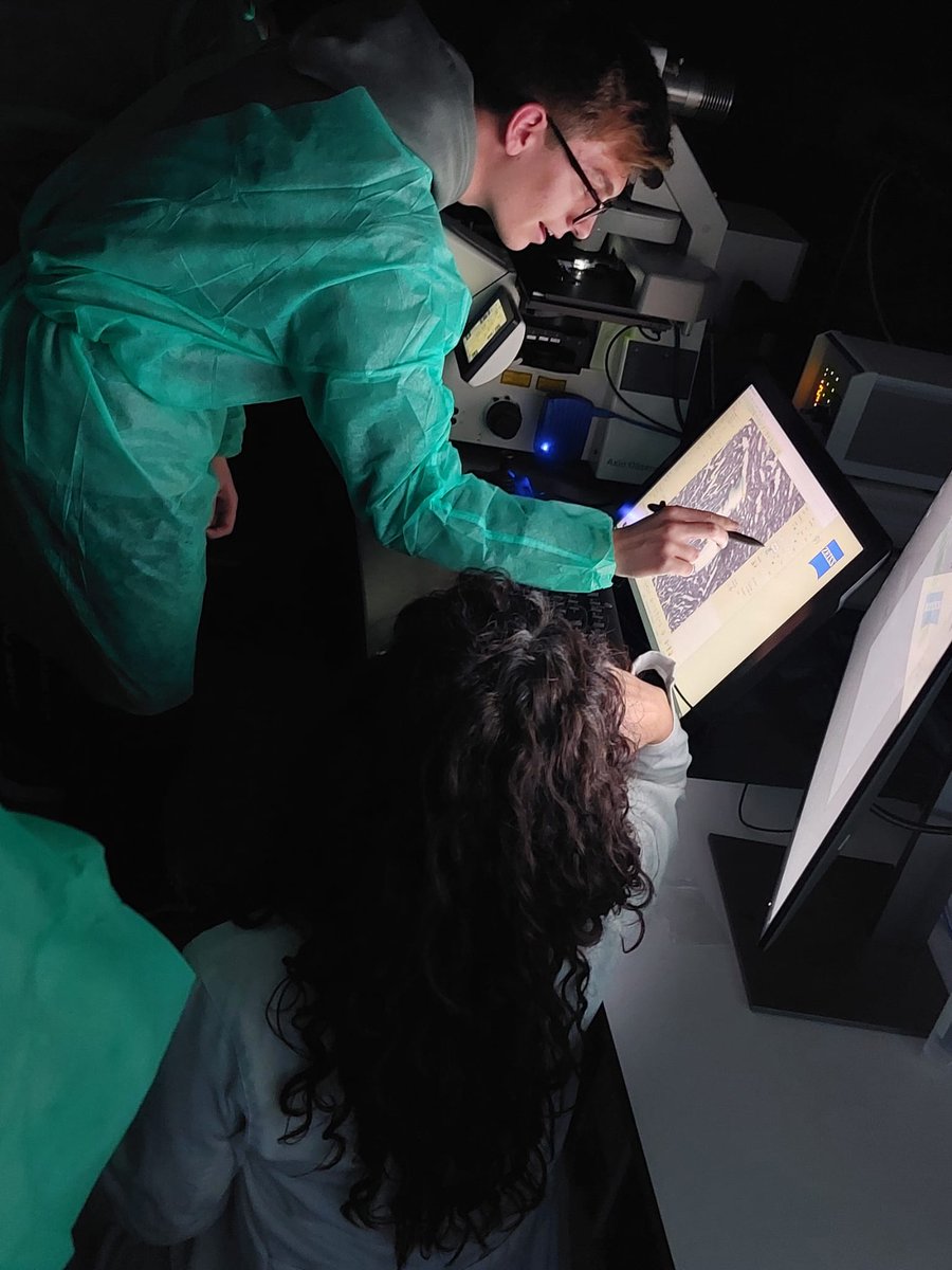 Un placer seguir participando en las actividades de divulgación científica de @IMIBIC junto con Histología y @imaging_ms. El IES Wenceslao Benítez (San Fernando, Cádiz) visitó nuestras unidades de Microscopía y de Bioimpresión3D. Muchas gracias!