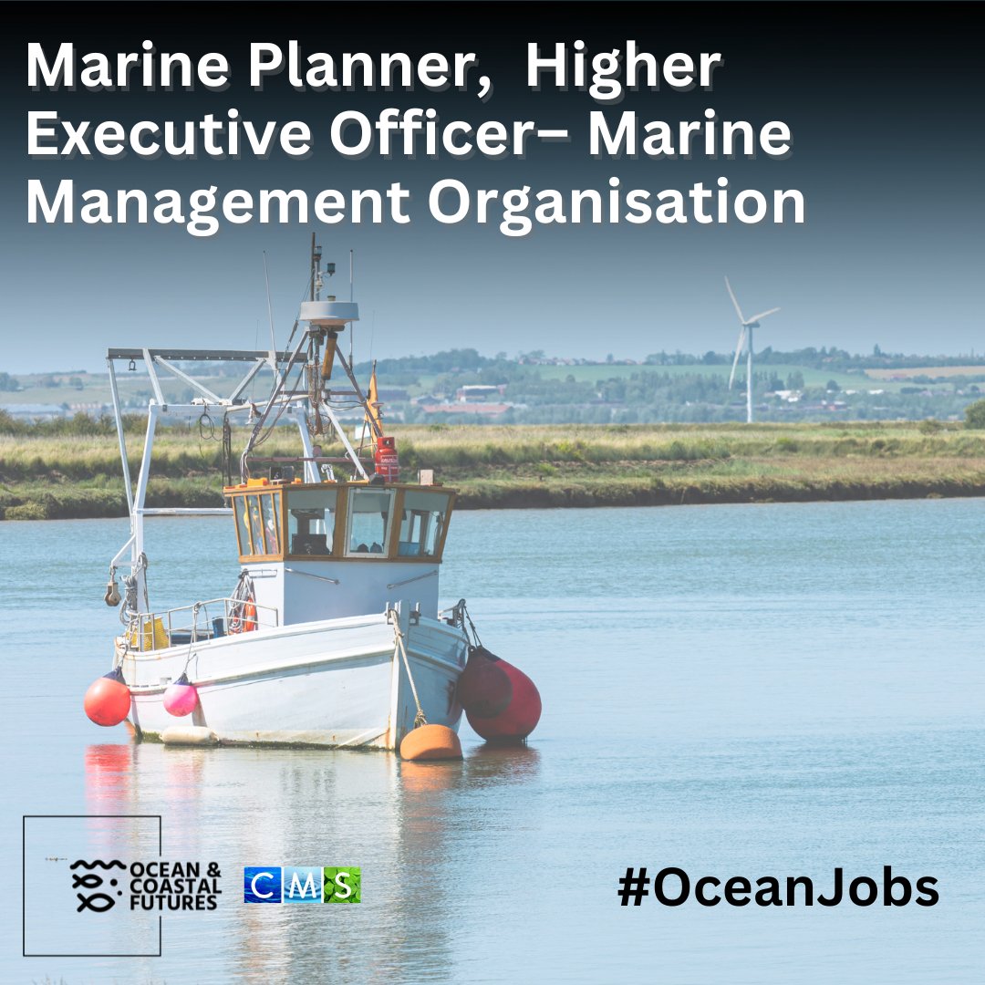 🔔New #job opportunity: Higher Executive Office, Marine Planner - @The_MMO ▪️ Closing: 15 April ▪️ Salary: £31k ▪️ Location: Across England ▪️ Full details here 👉 cmscoms.com/?p=38540 📩Sign up for #OceanJobs alerts here 👉 bit.ly/3MiyV7i #hiring #vacancy