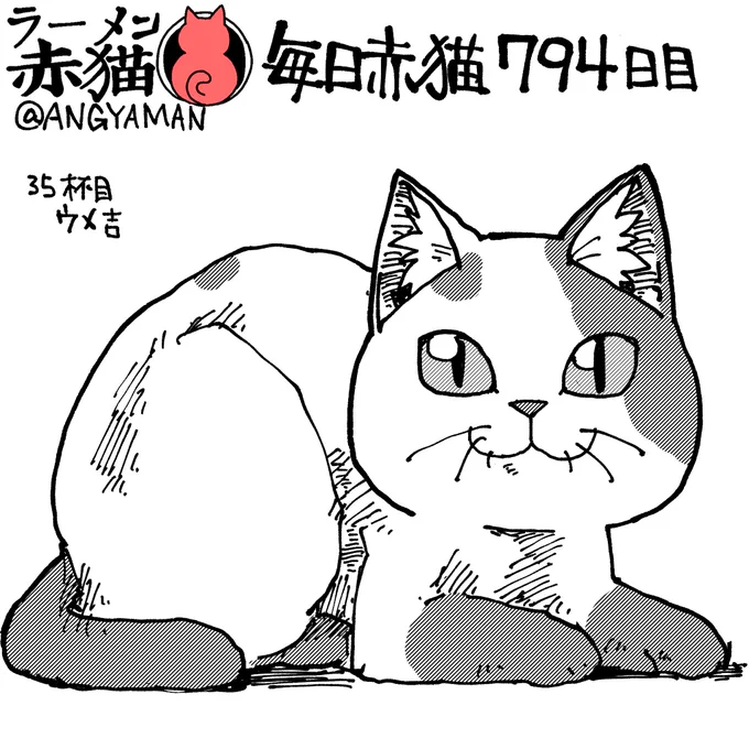 赤猫メンバー以外の猫
#ラーメン赤猫 #ジャンププラス
特別編2 https://t.co/6emVpcdYYv 