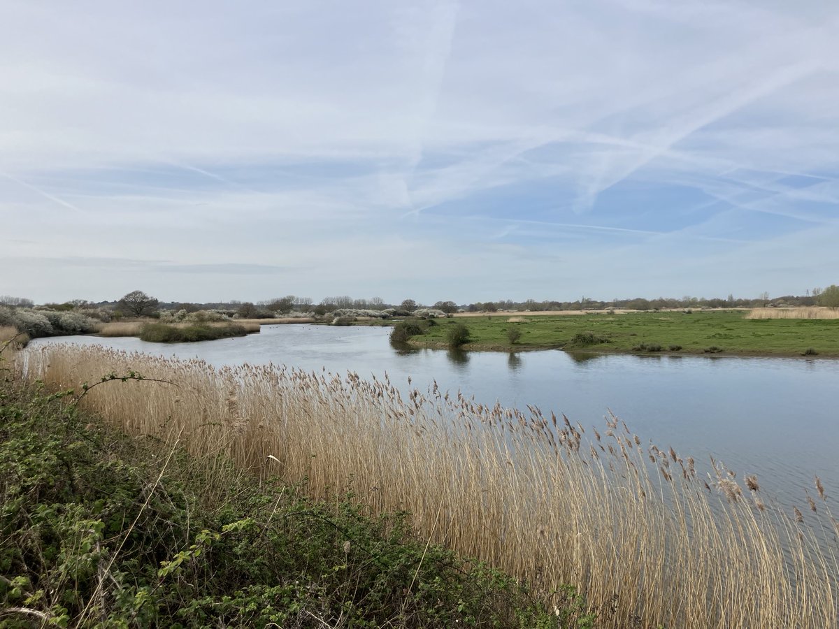Starting again at Manningtree. New book. Essex Coast Revisited. Walking the Essex coast again, looking at what’s changed in 20 years.