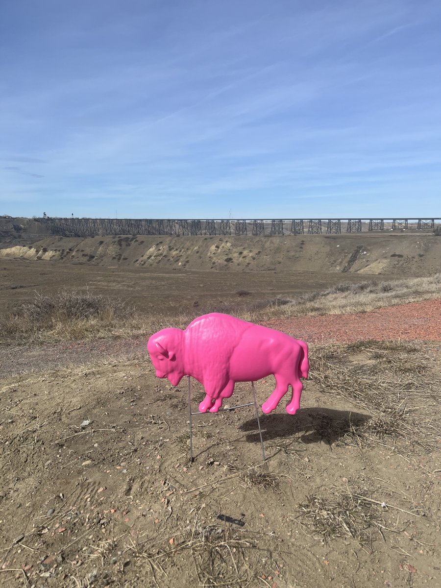 Spend the afternoon April 6 1-3pm with the International Buffalo Relations Institute (IBRI) learning about the importance of the buffalo and the incredible Buffalo Treaty work IBRI does. During the session, you'll have the opportunity to decorate your very own pink lawn buffalo!
