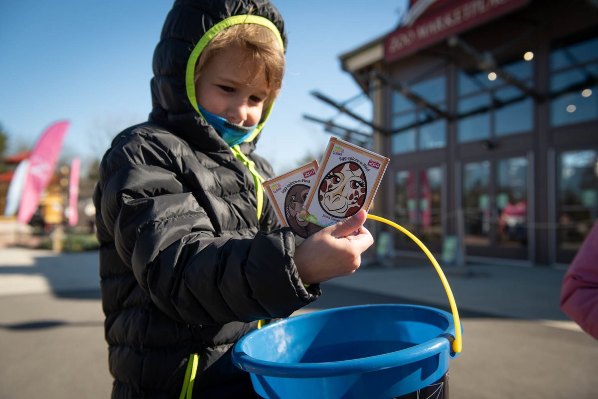 Egg-scuse me! We are three days out from Eggs, Paws and Claws, presented by @Kroger! Our Egg-Splore-N-Find is sure to be egg-citing for the little ones. Locate the hidden eggs around the Zoo to get a prize. columbuszoo.org/events/egg-paw…