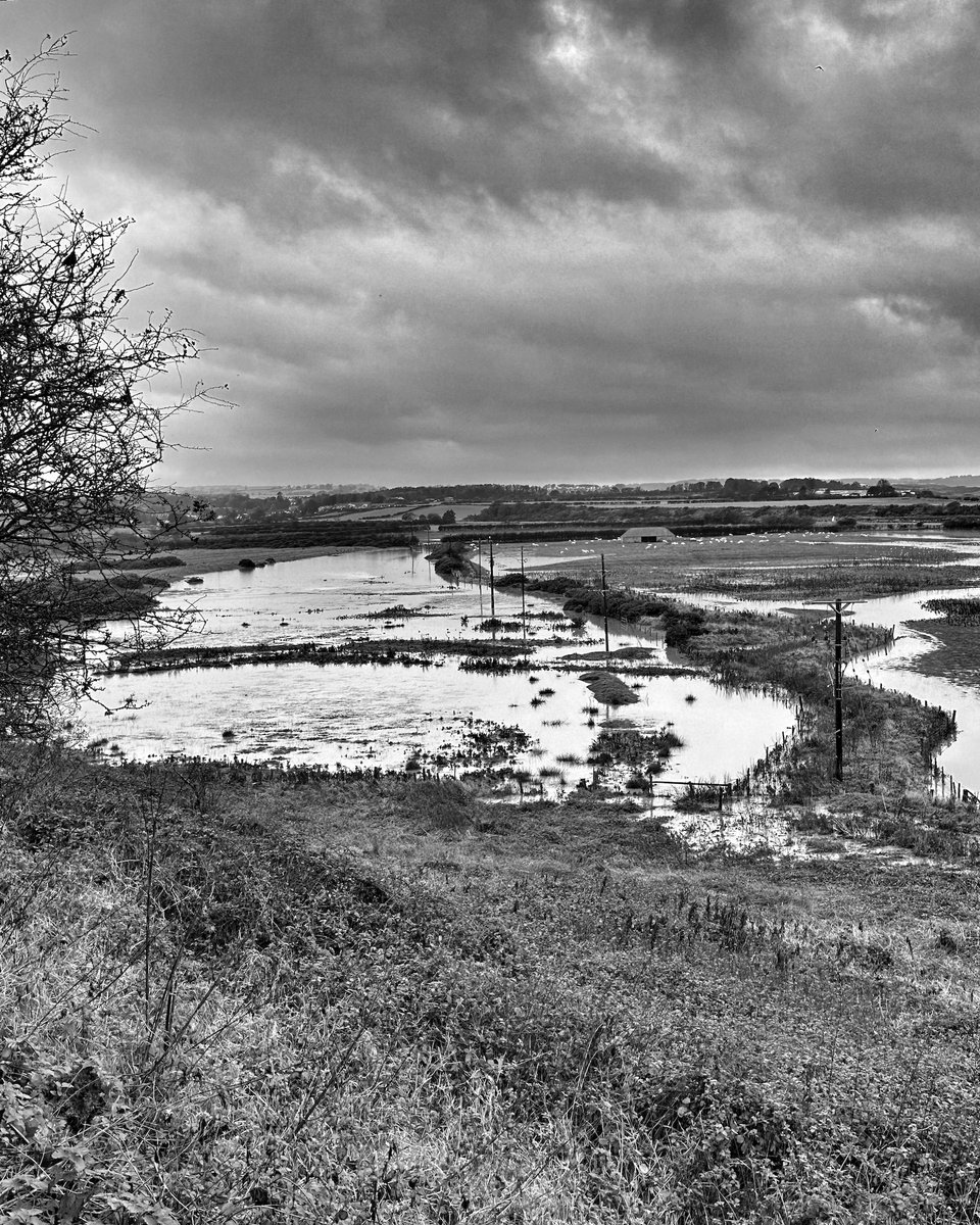 Open Exhibition @Woodhorn features over 200 amazing artworks, incl sculpture & painting. The Pop-Up Ashington Group Hut will offer activities during the Northumberland school hols. (Pictured: Northumberland Flood Plain by Exhibition Winner, Jim Donnelly.) museumsnorthumberland.org.uk