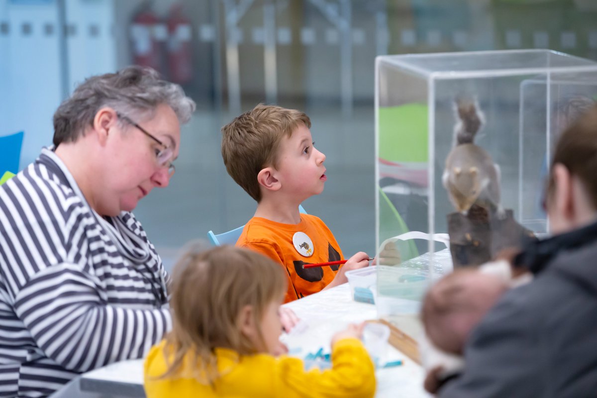 Join our Creature Collections drop-in session tomorrow! 🦉 Explore brilliant birds and other taxidermy creatures from the Museum collections. 📅 Tuesday 2 April 🕰 Drop-in from 1pm – 2.30pm 🎟 Free Find out more at sunderlandmuseum.org.uk.